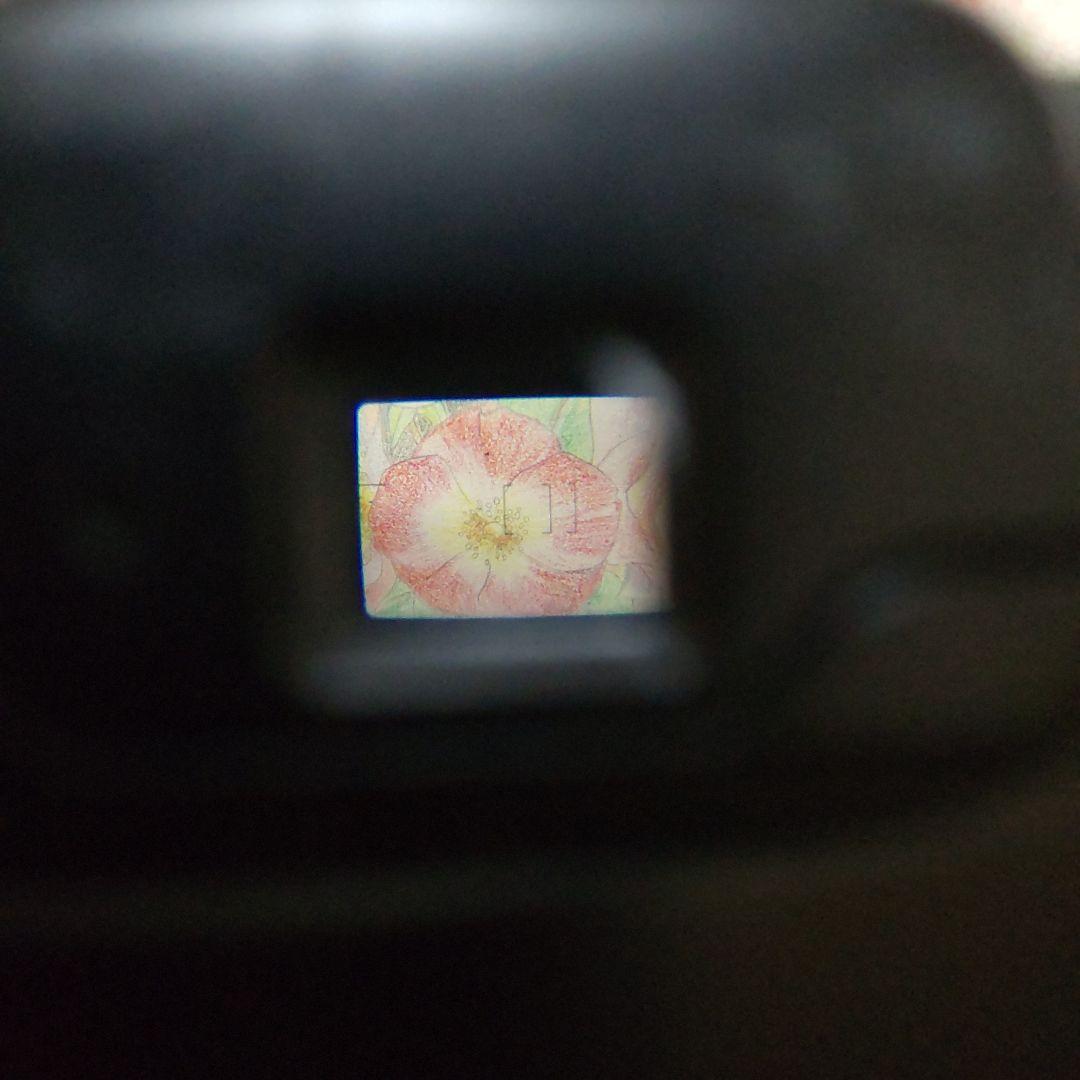 ☆☆美品❕完動品☆☆ Canon Autoboy SXL