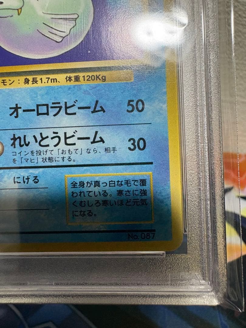 旧裏　ポケモンカード　ジュゴン　psa7 マークなし