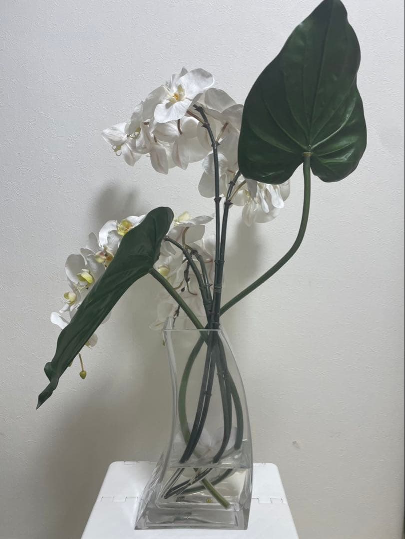 Bエミリオロバ ファレノプシス2L 胡蝶蘭 花 白フラワーアレンジメント