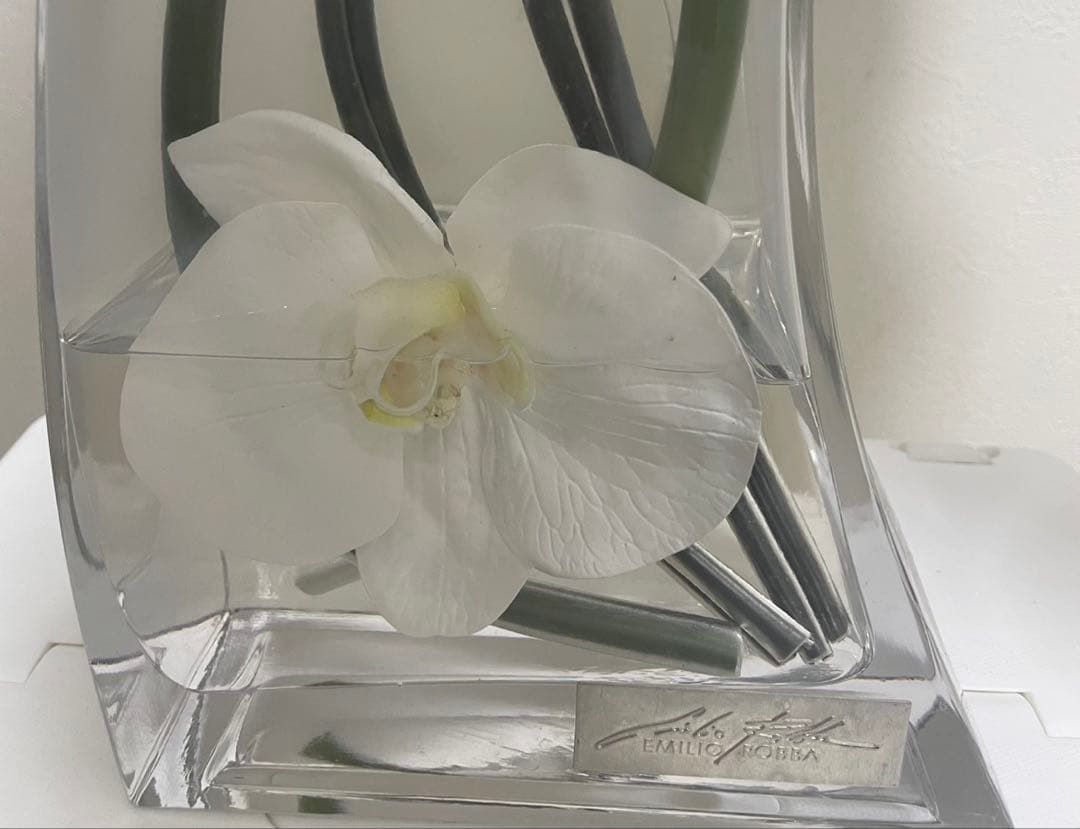 Bエミリオロバ ファレノプシス2L 胡蝶蘭 花 白フラワーアレンジメント