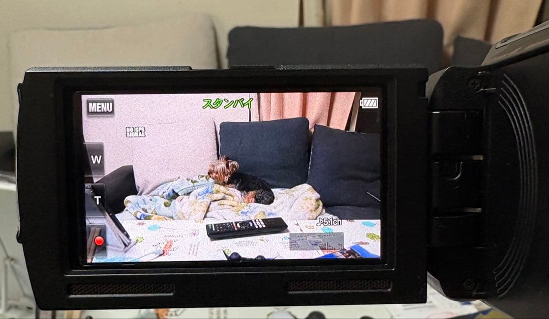 SONY HDR-PJ760V バッテリー2個セット