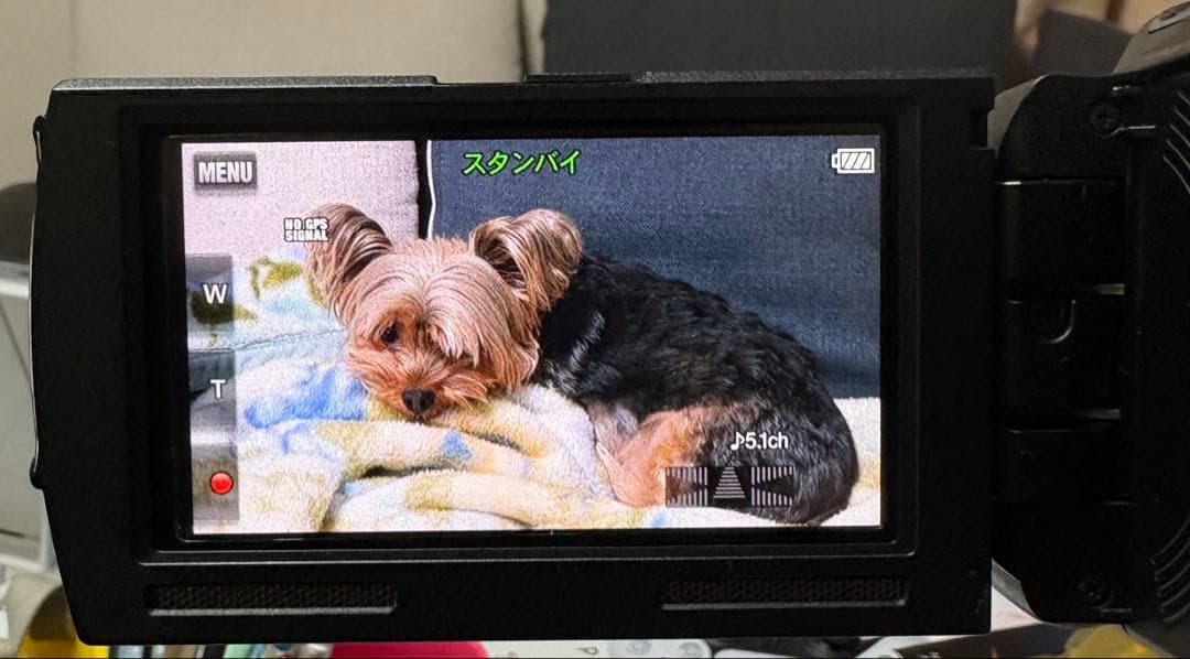 SONY HDR-PJ760V バッテリー2個セット