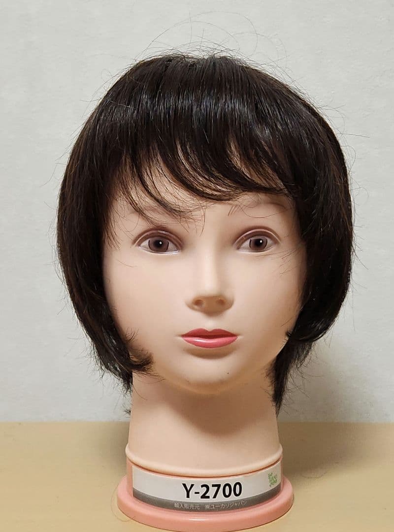 ぽっちり　2個まとめてウィッグ　ショートボブウィッグ ダークブラウン