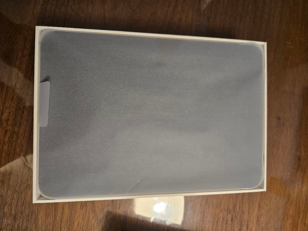 Apple iPad mini 6 256GB セルラー