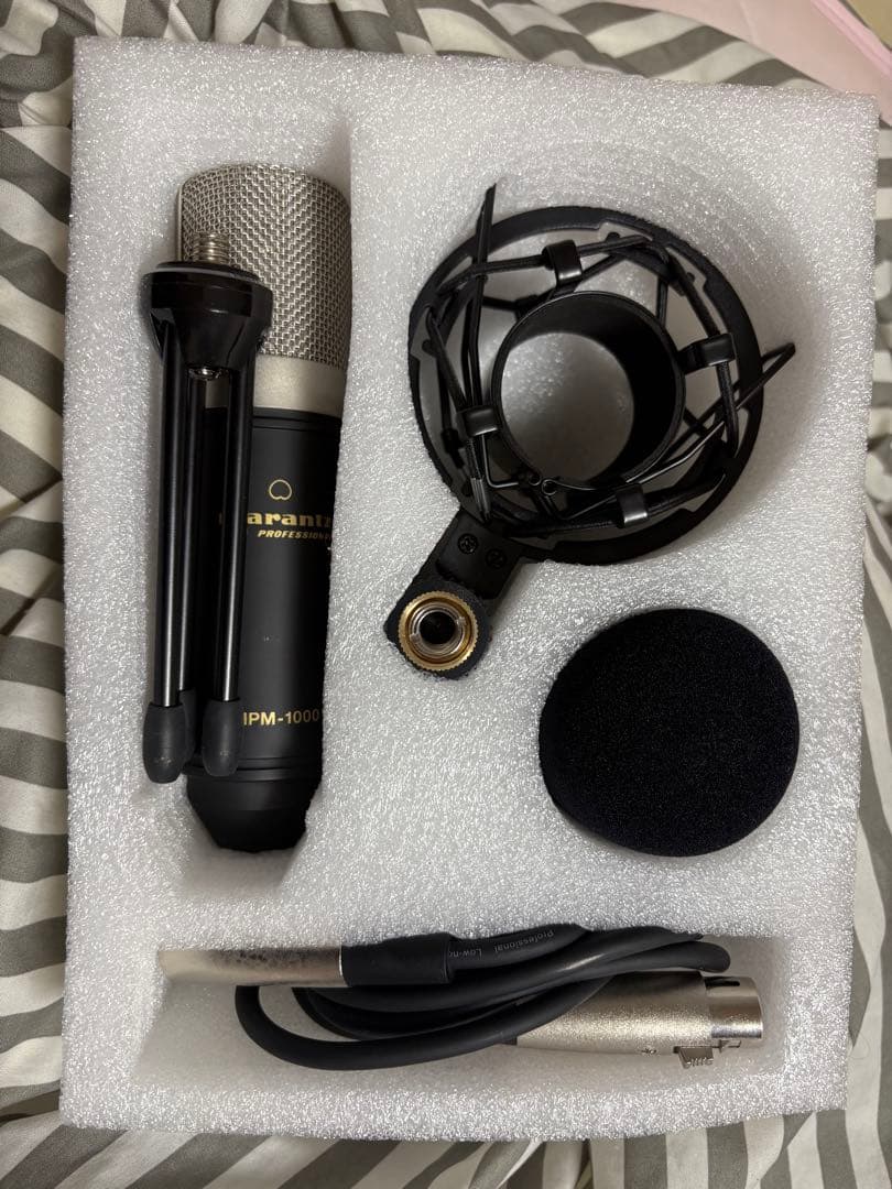 Steinberg IXO 22 ホワイト