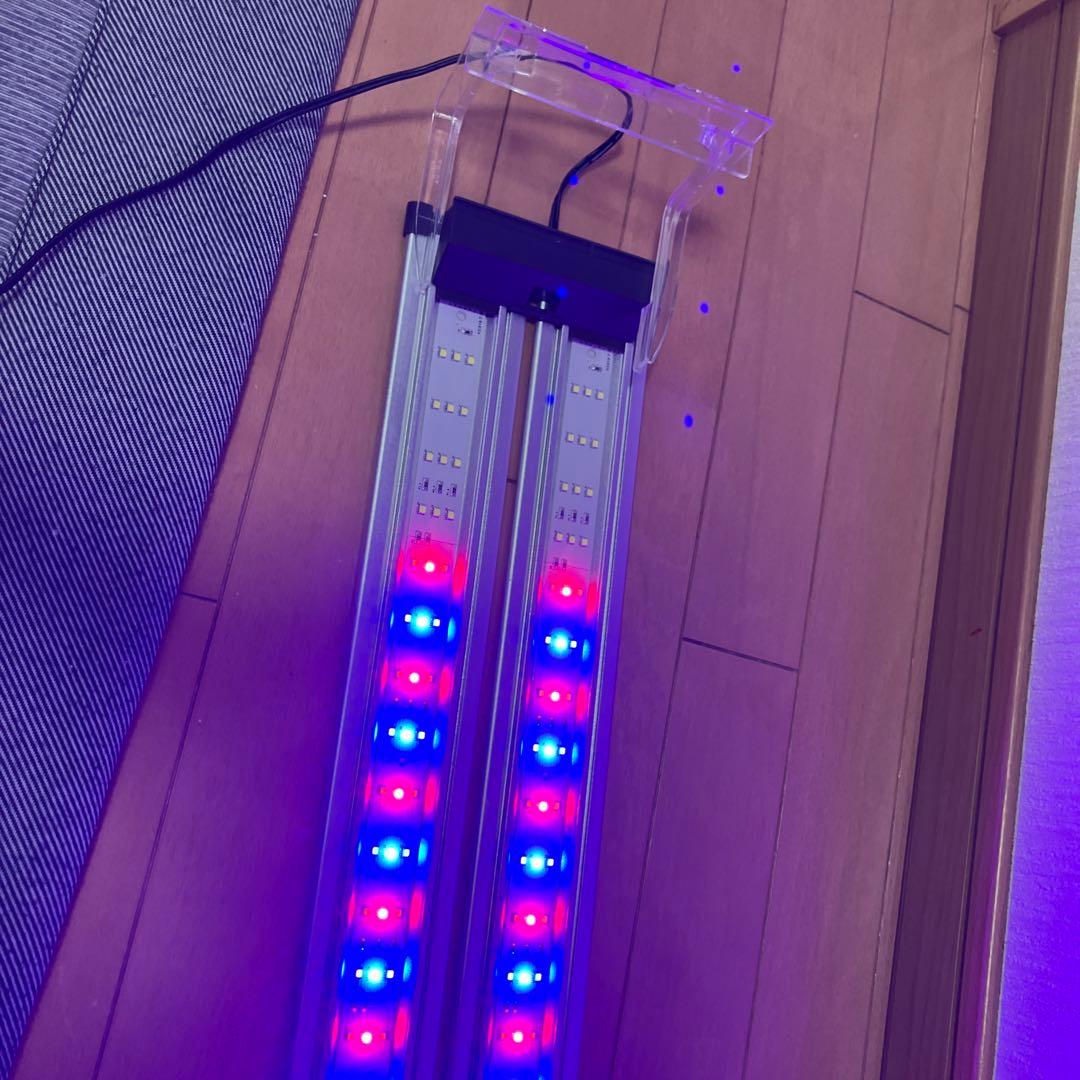 【大特価】KOTOBUKI FLATLEDツイン900　コトブキフラットLED