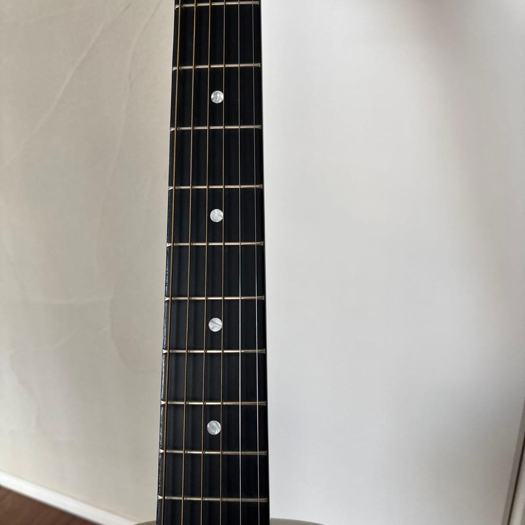 ギター GODIN GUITAR Rialto JR Satina Gray HG