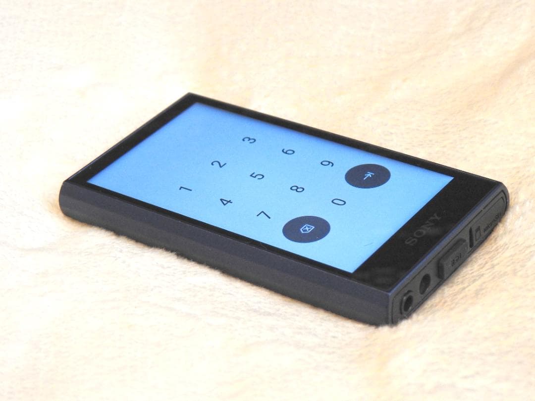 Sony ウォークマン NW-A306 32GB ケースおまけ
