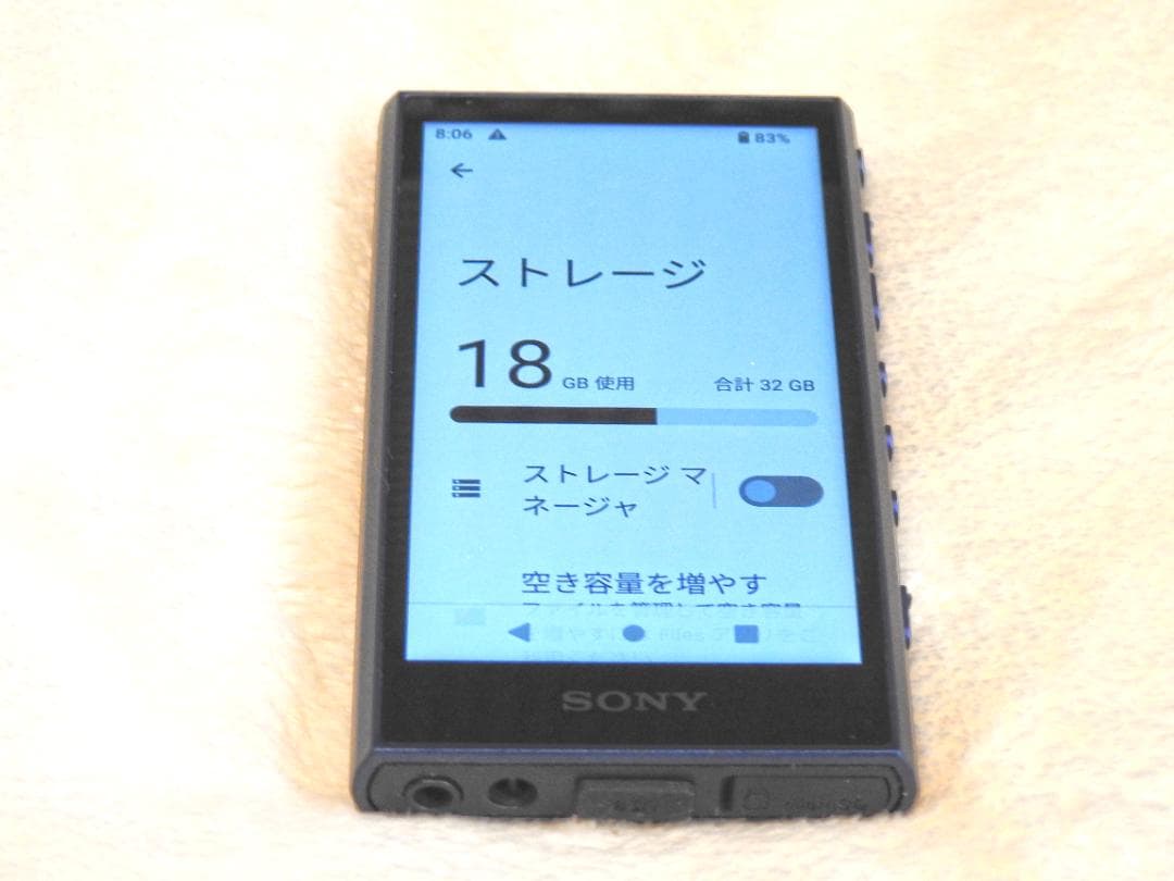 Sony ウォークマン NW-A306 32GB ケースおまけ