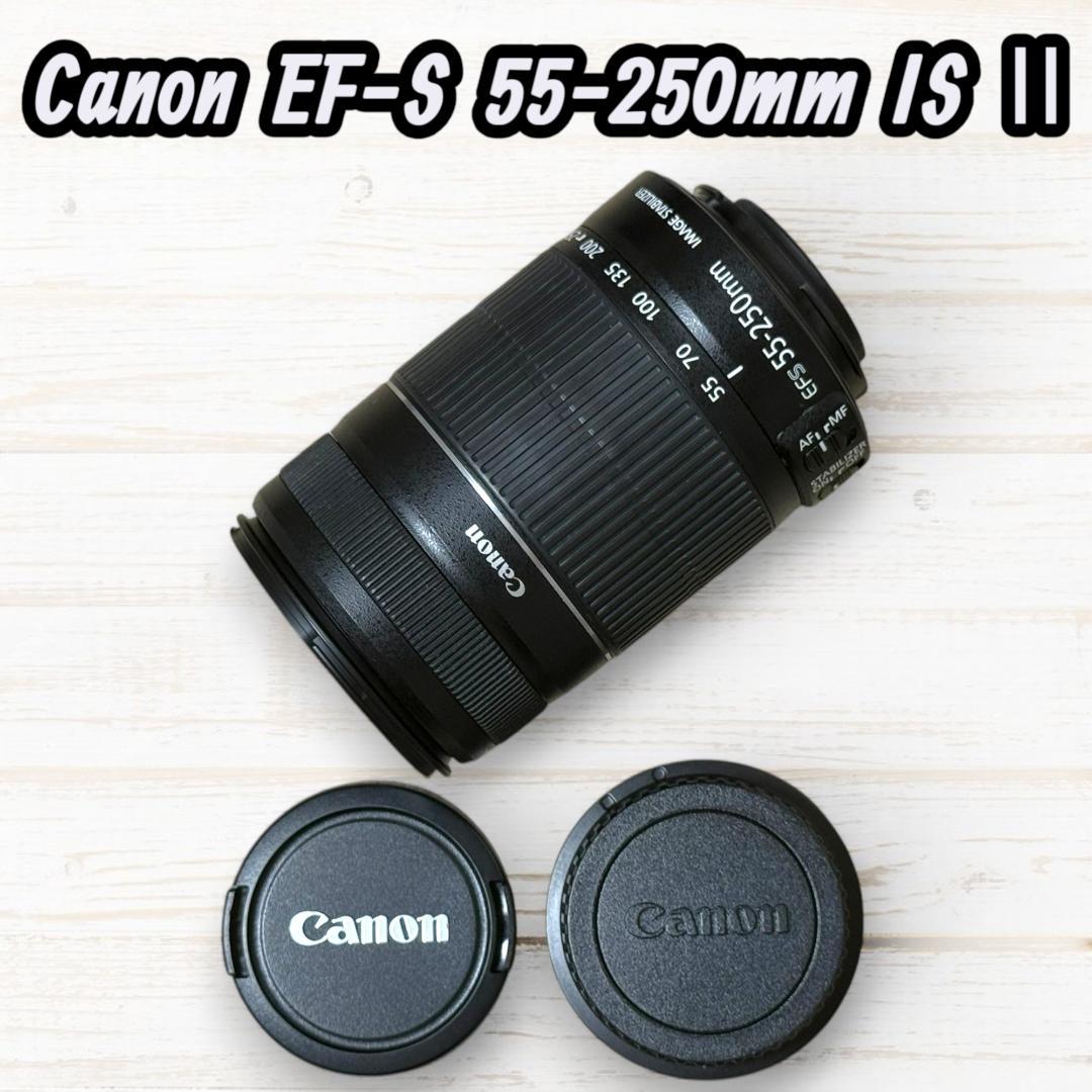 Canon ズームレンズ EF-S 55-250mm IS Ⅱ #143