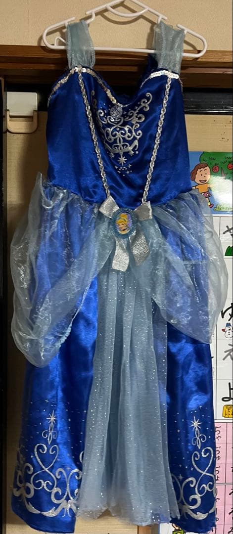 ディズニー プリンセス ドレス 10着セット　100-110cm