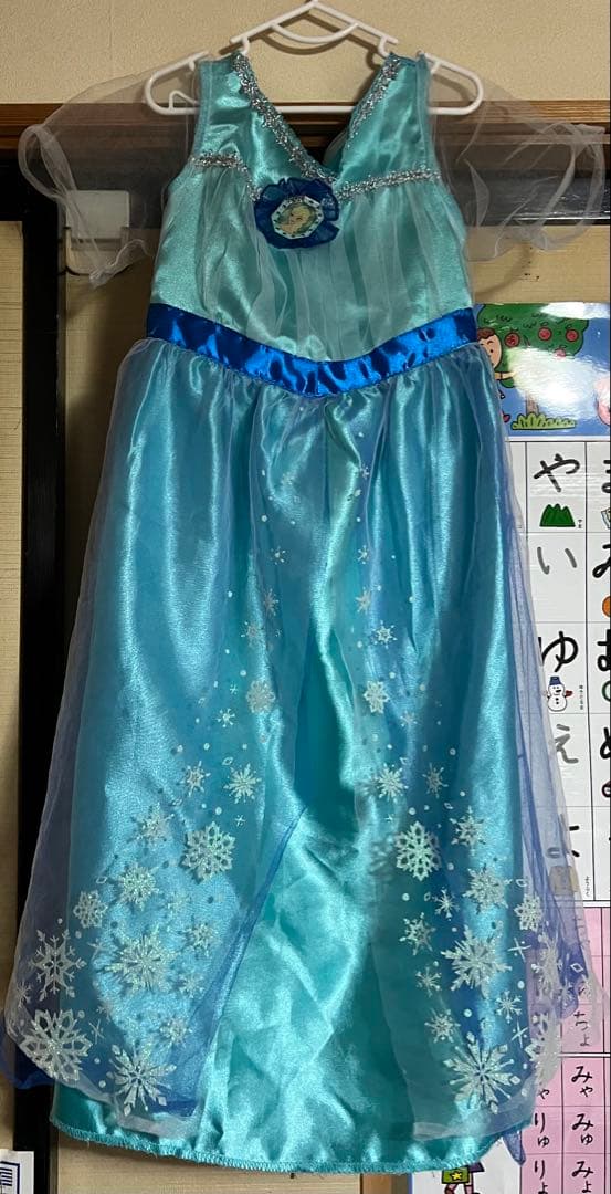 ディズニー プリンセス ドレス 10着セット　100-110cm