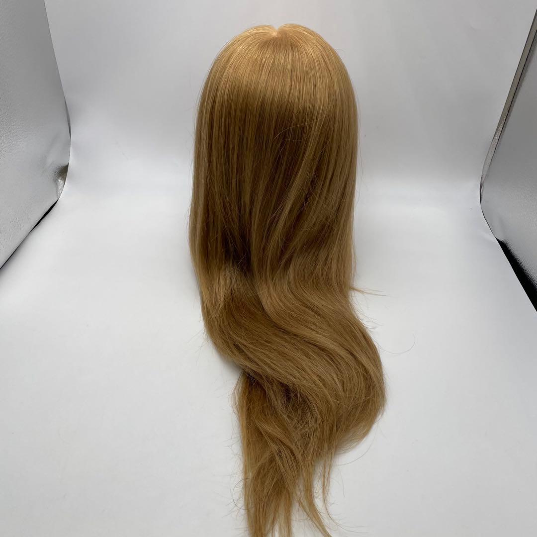 カットウィッグ　アップウィッグ　美容師　NBAA ブロンド