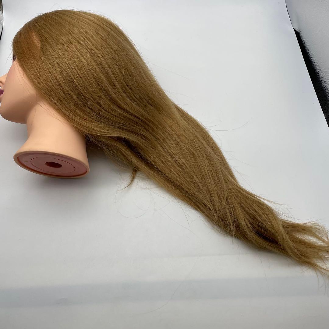 カットウィッグ　アップウィッグ　美容師　NBAA ブロンド