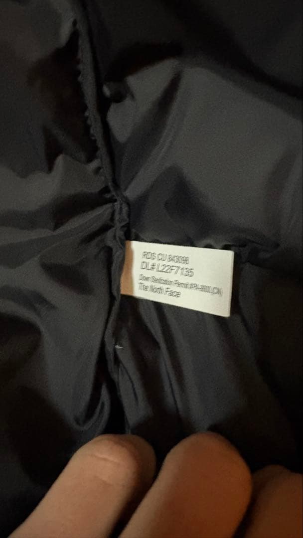 THE NORTH FACEエコヌプシ　 ブラック ダウンジャケット Lサイズ