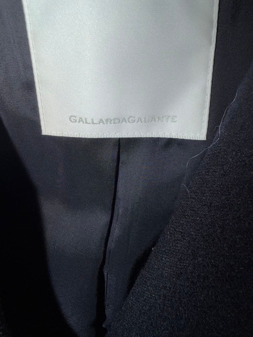 gallardagalante 大草直子さんコラボ ピークドラベルジャケット F