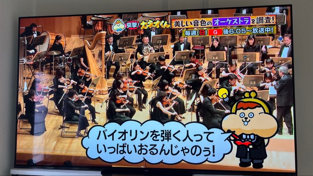 美品 SONY BRAVIA KJ-65A9G