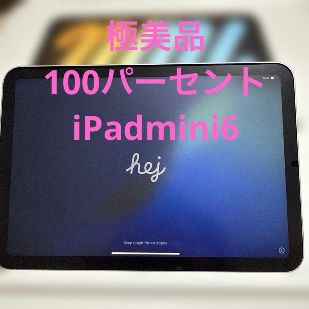 極美品！iPad mini WiFi 64GB 第6世代 スターライト