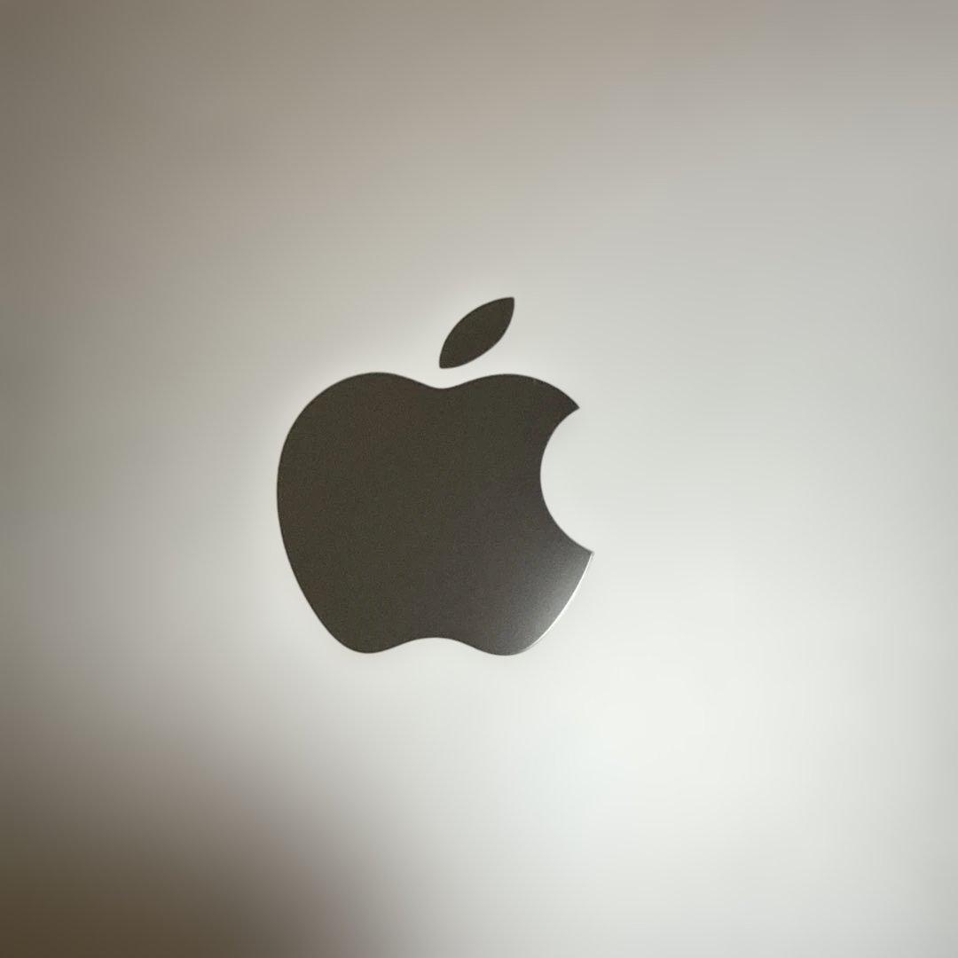 極美品！iPad mini WiFi 64GB 第6世代 スターライト