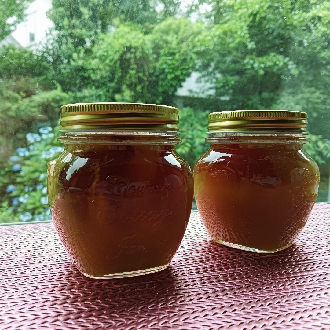 日本蜜蜂のはちみつ採れたて890g垂れ蜜