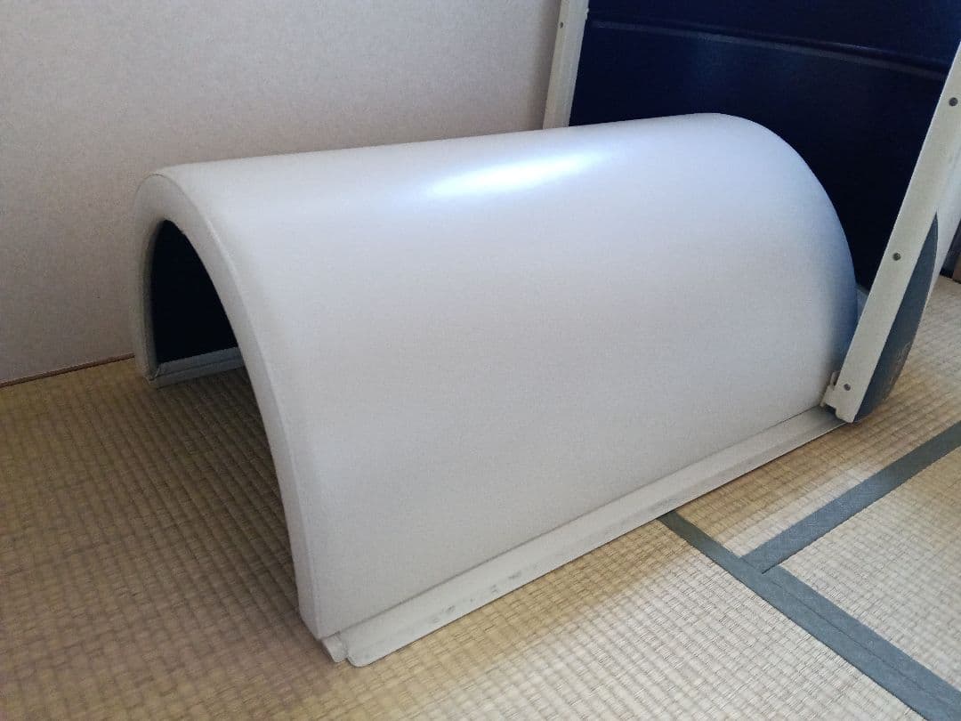 FUJIKA Smarty 温浴器 ドーム型 ホワイト