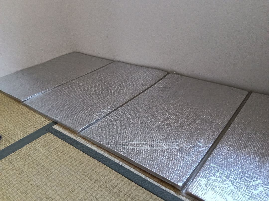 FUJIKA Smarty 温浴器 ドーム型 ホワイト