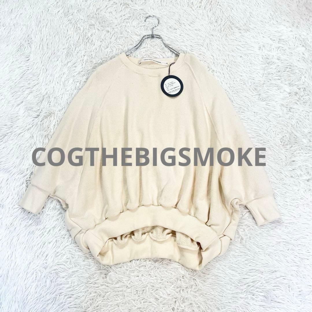 未使用タグ付きコグザビッグスモークHAVANASWEATSHIRTドローコード
