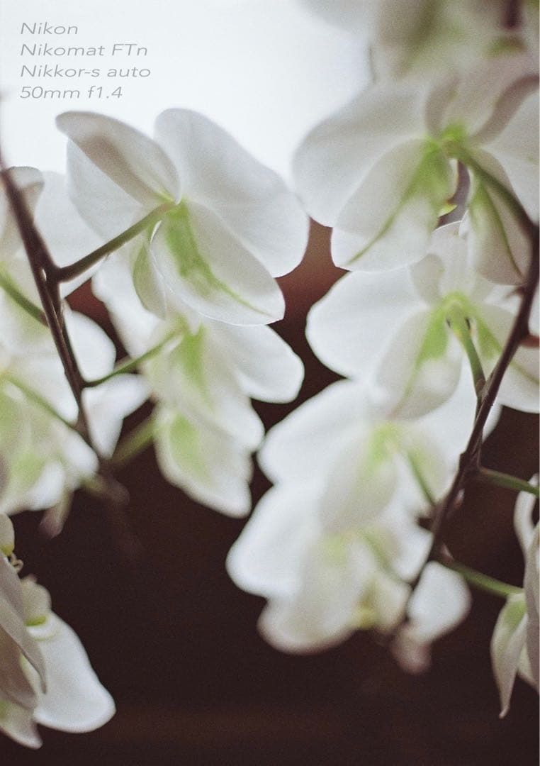 Nikon FTN＊nikkor 50mm f1.4★完動品＊美品＊初期保証