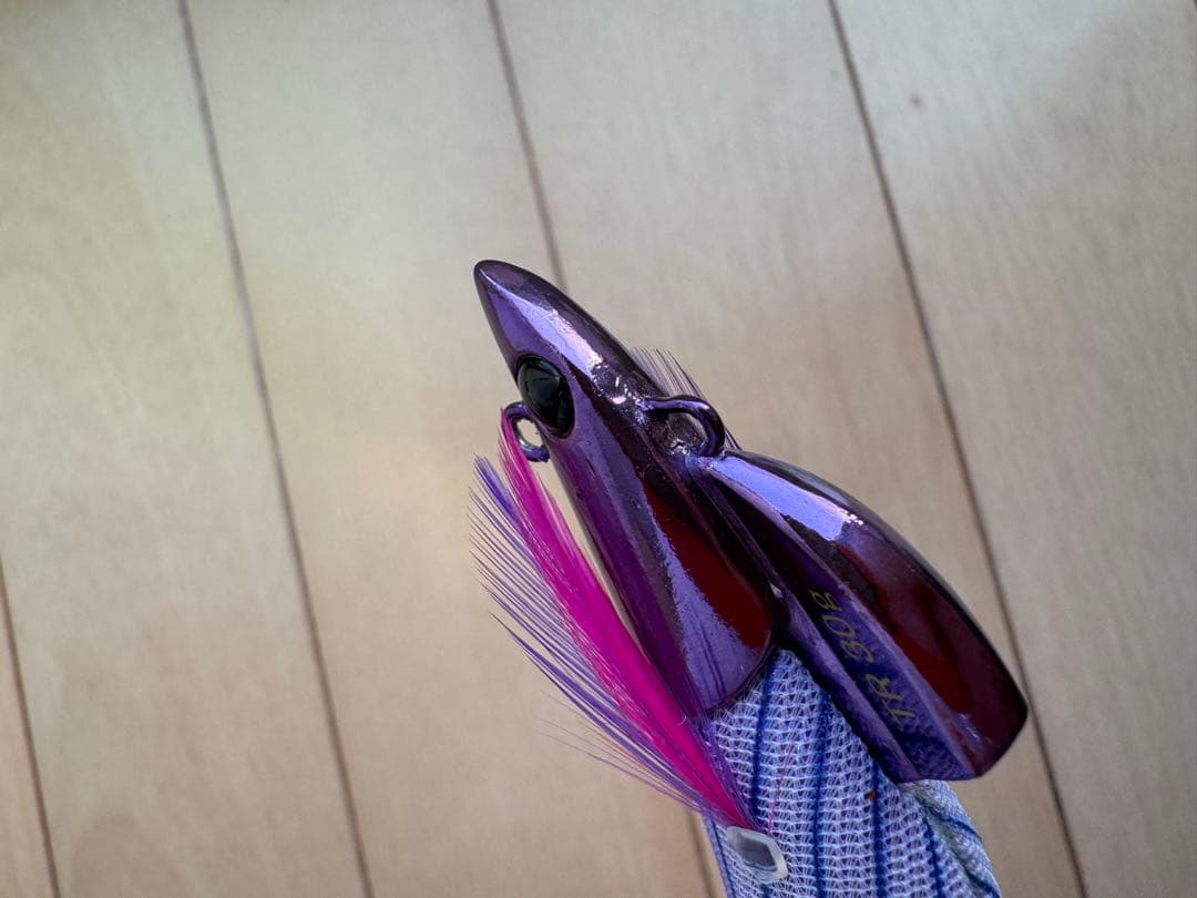 ティップラン用エギ5本セット