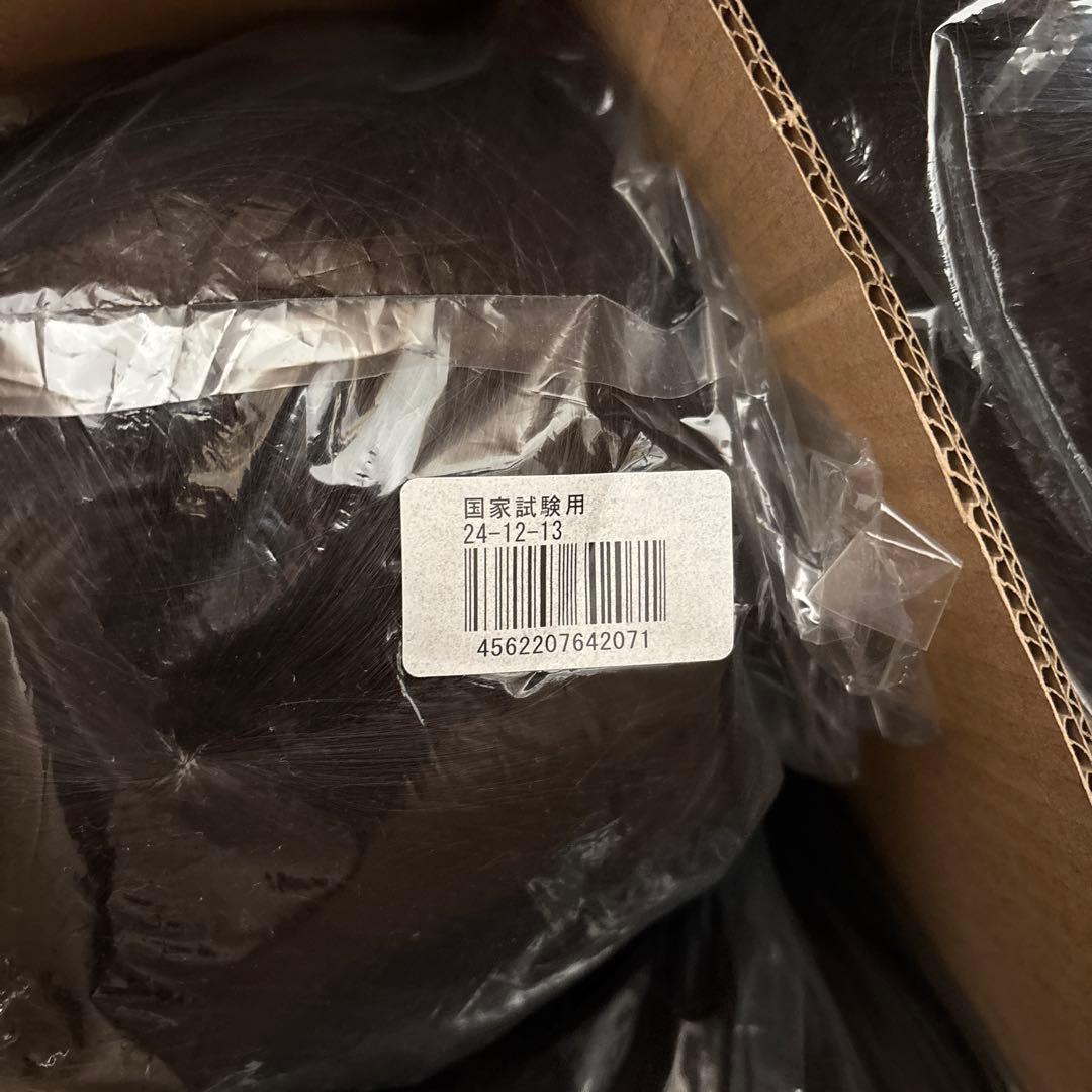 ちぃ　三矢 国家試験用 カットウィッグ