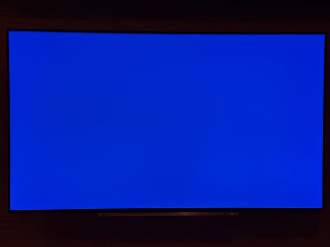 【borzoi】【有機ELテレビ】 東芝 REGZA ×920 55インチ