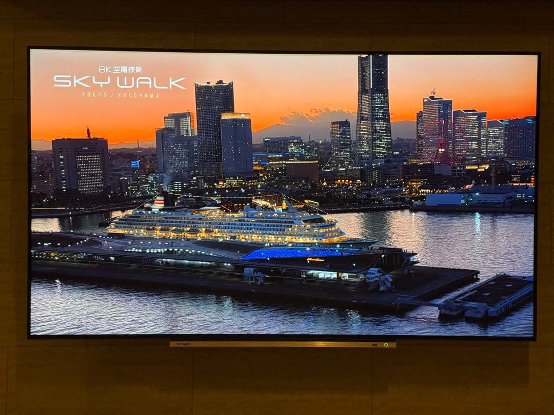 【borzoi】【有機ELテレビ】 東芝 REGZA ×920 55インチ