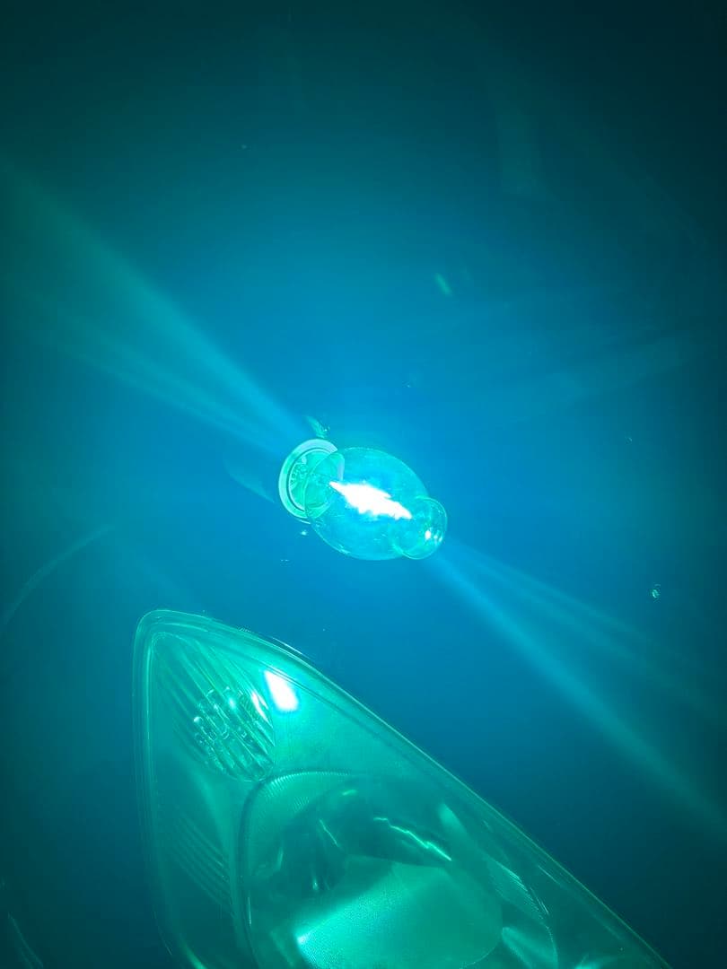 灯火採集　ライトトラップ　100W水銀灯　安定器　ランプホルダー付き