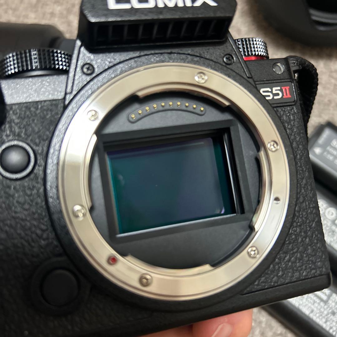 LUMIX S5ii+単焦点50mm+SIGMA24-70mm DGDN