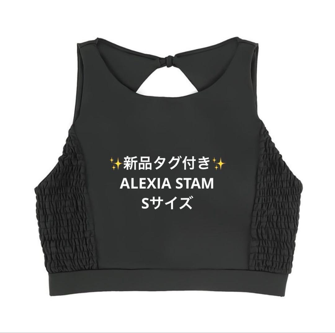 ✨新品✨ ALEXIA STAM Sサイズ Kristen Night 水着