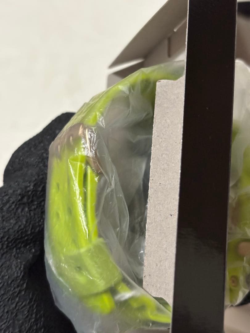 G-SHOCK/ビンテージ/雨蛙/フロッグマン/GW-200F/限定/イルクジ