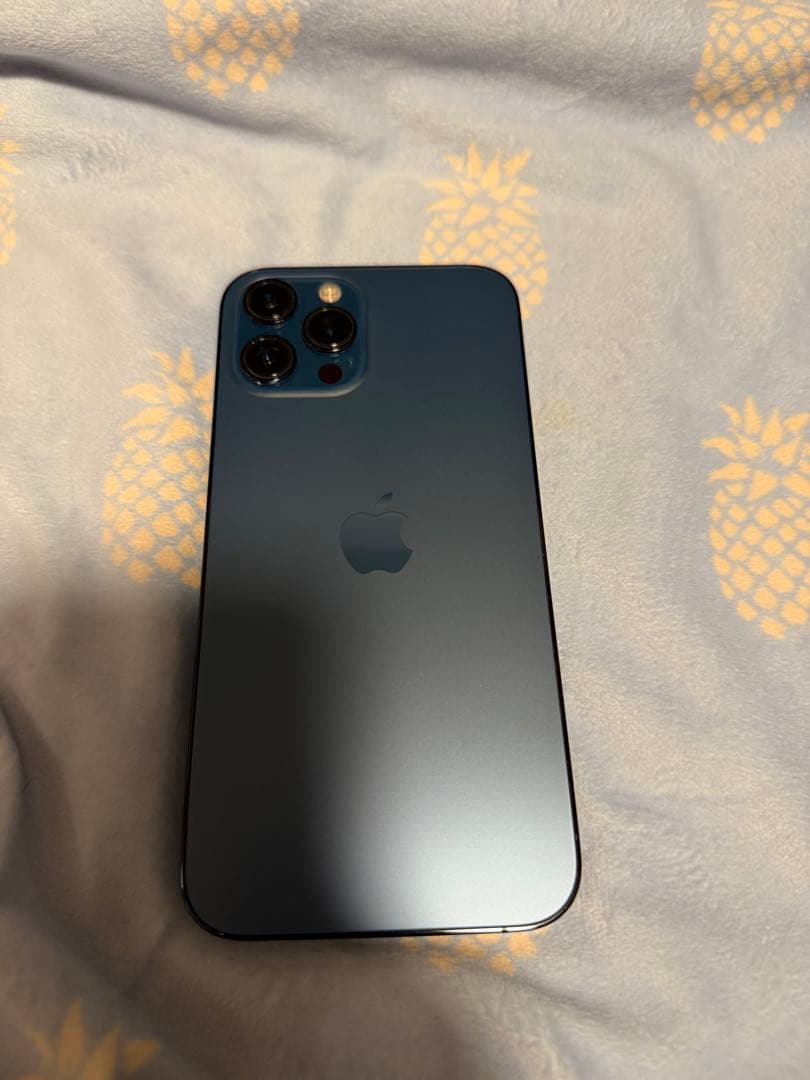 iPhone12promax カメラ消音可 256GB