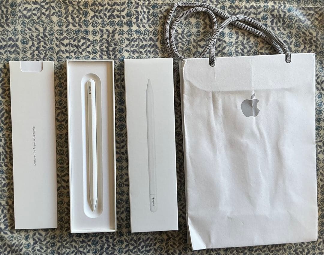 Apple Pencil (USB-C) 未使用