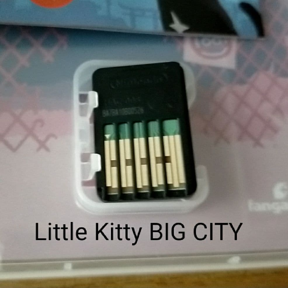 Little Kitty BIG CITYとSTRAY