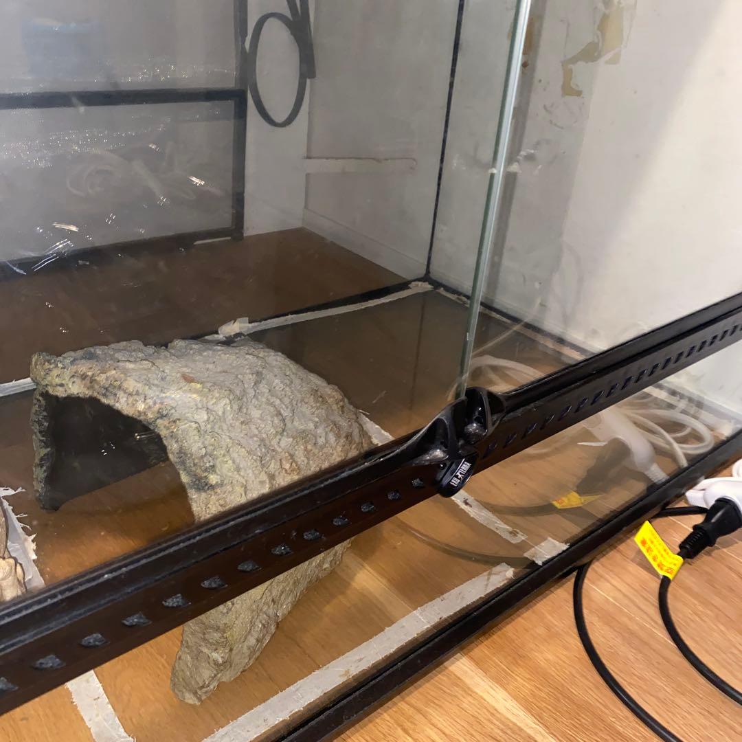 中型透明ガラス飼育ケース