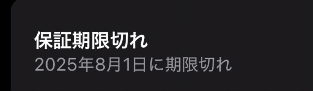 AirPods Pro 2 モデル:A3048 おまけ付き