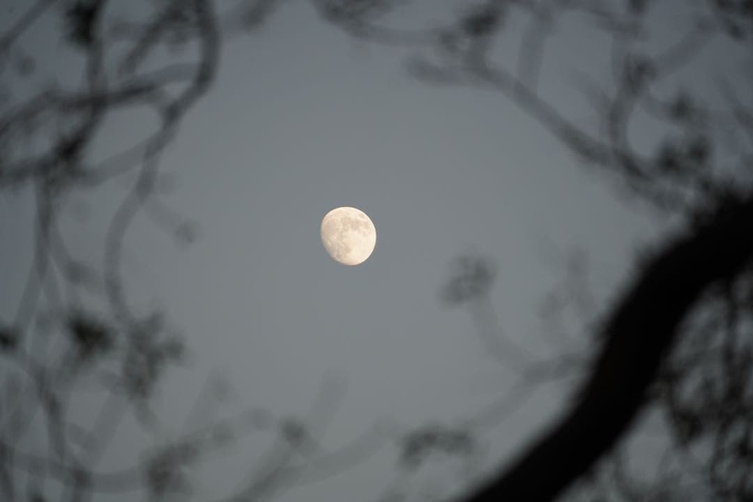 SONY α7 III + TAMRON 70-300mm レンズ