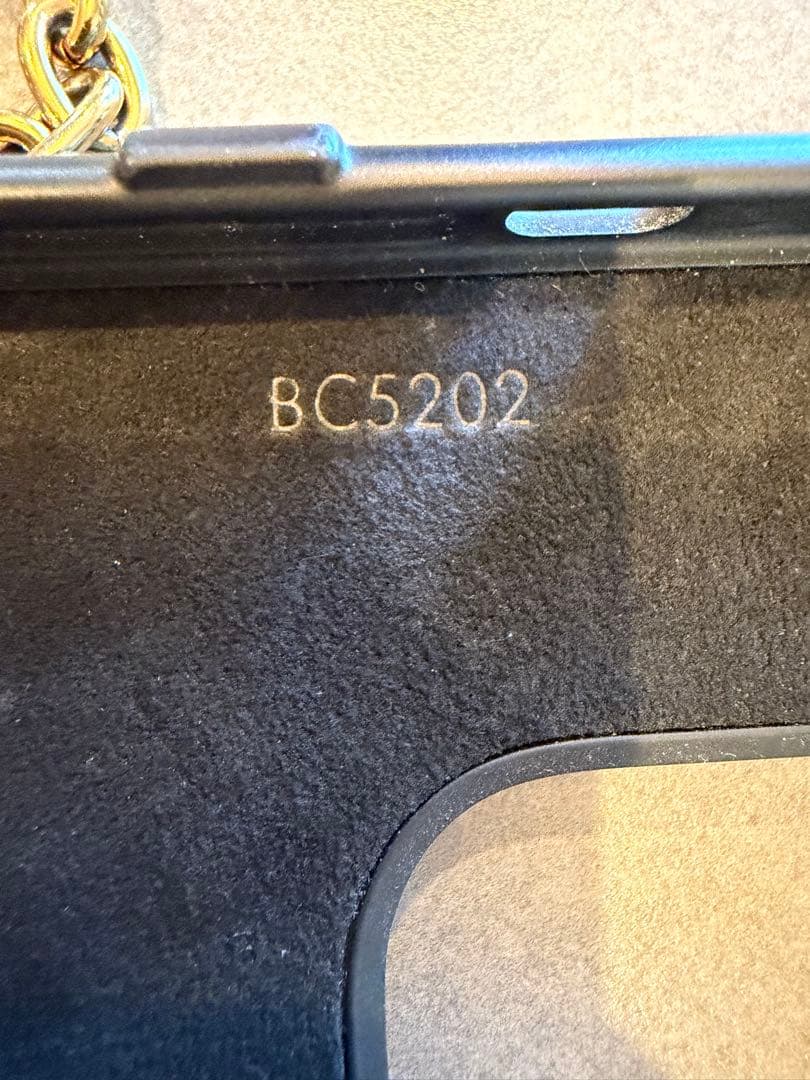 本日値下げ！Louis Vuitton 14proiPhoneケース