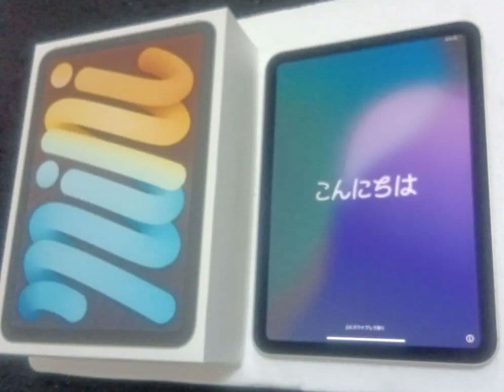 iPad mini6 256 セルラー Cellular