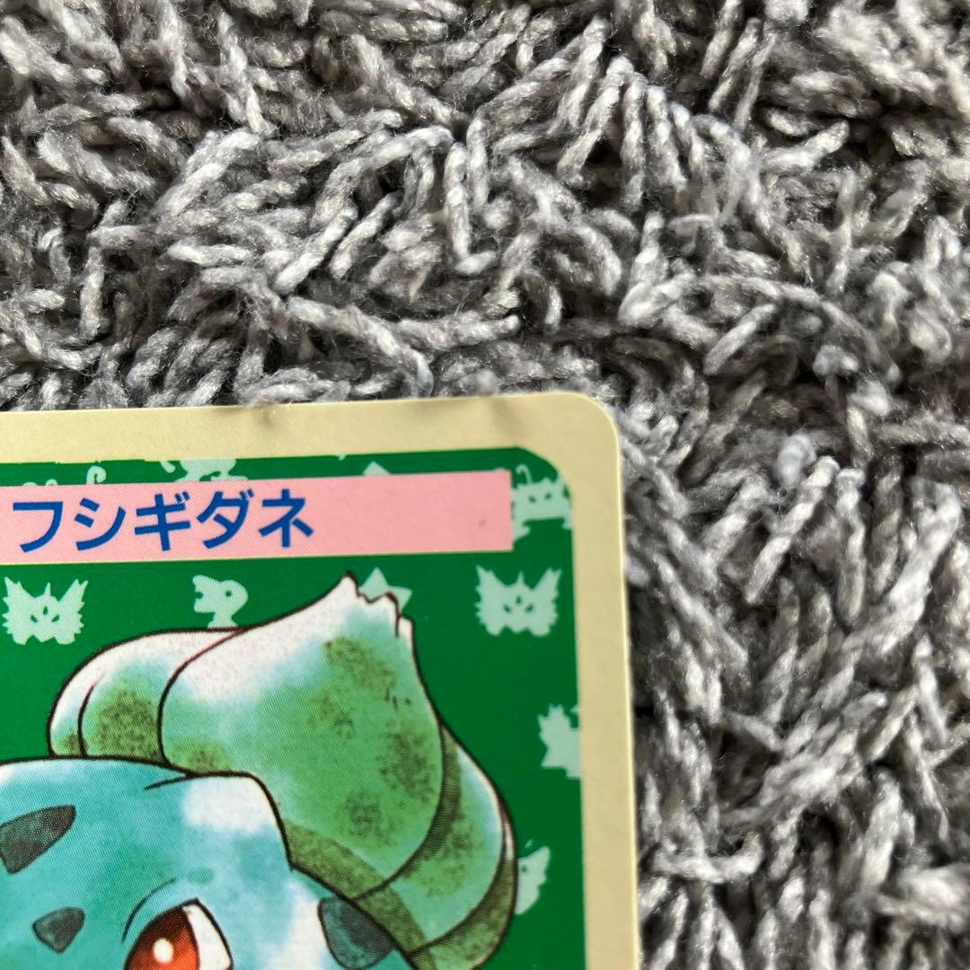 ポケモンカード トップサン フシギダネ 裏青 ナンバーなし　エラー　２枚