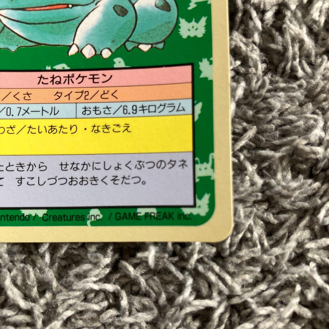 ポケモンカード トップサン フシギダネ 裏青 ナンバーなし　エラー　２枚