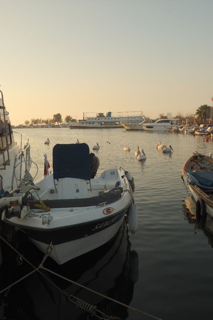 FUJIFILM X-T50 bodyのみ