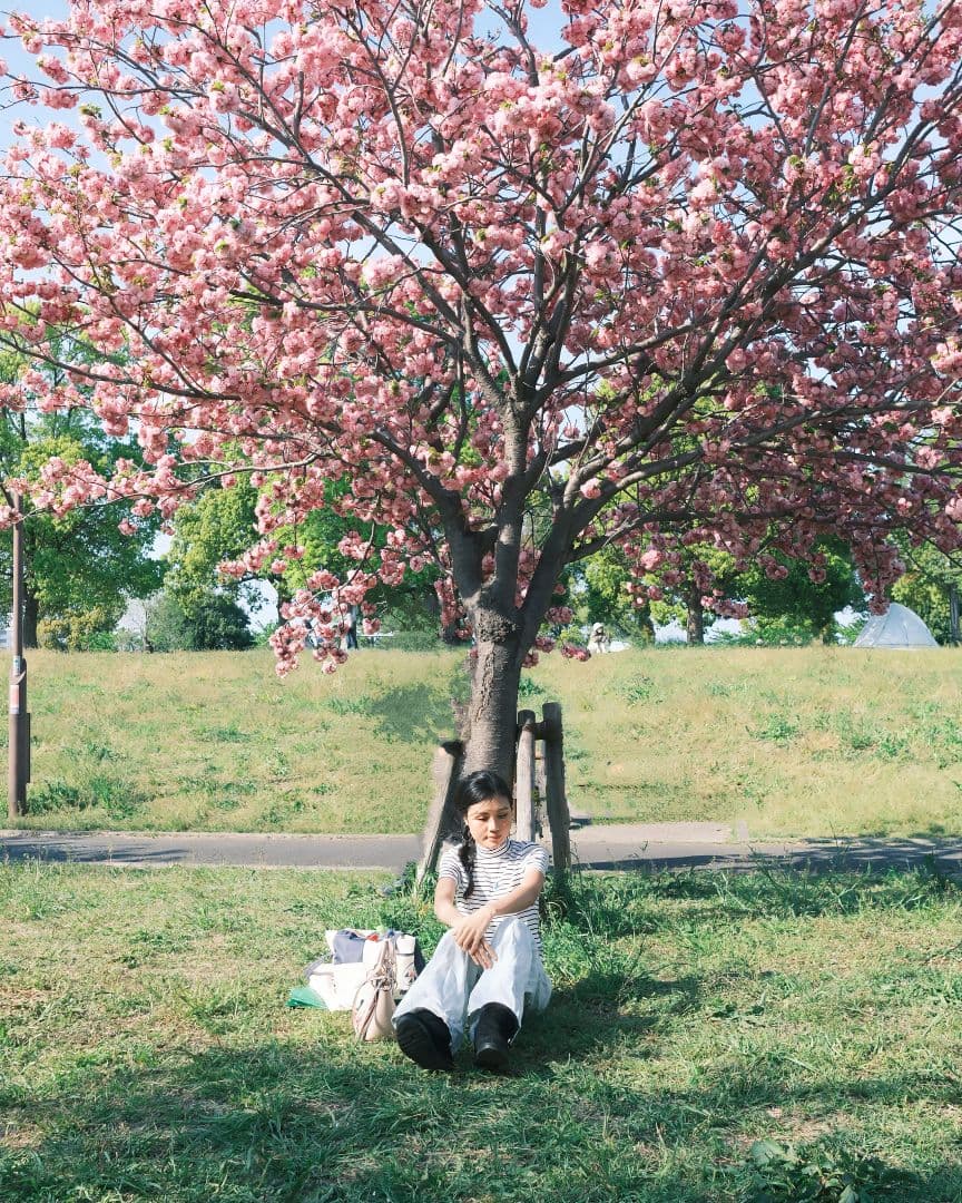 FUJIFILM X-T50 bodyのみ