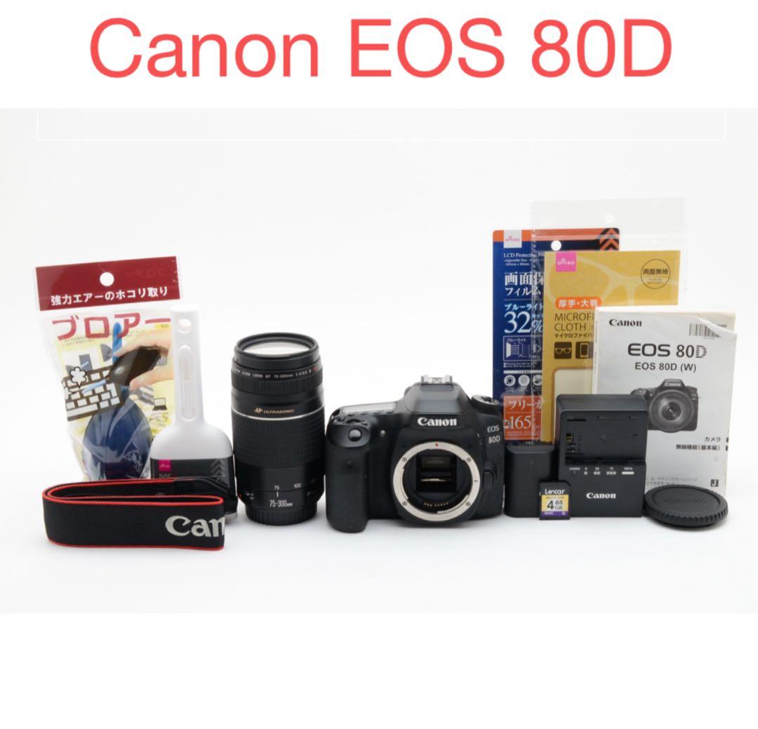 Canon EOS 80D望遠レンズセット/ Canon 75-300mm