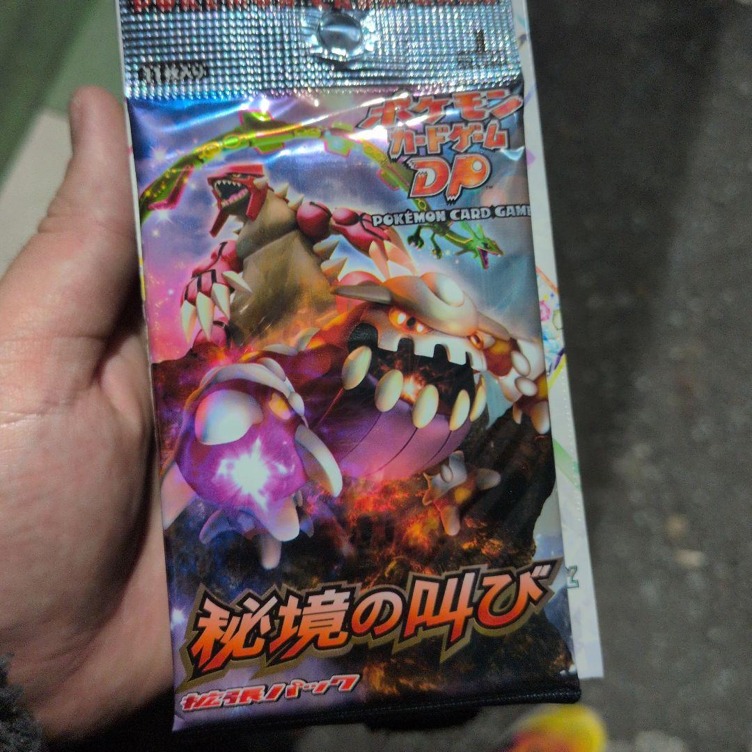 【即購入可能】ポケモンカードゲーム DP 秘境の叫び